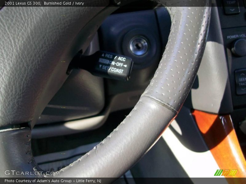 Burnished Gold / Ivory 2001 Lexus GS 300