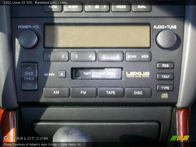 Burnished Gold / Ivory 2001 Lexus GS 300