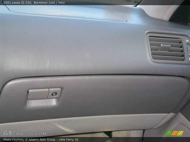 Burnished Gold / Ivory 2001 Lexus GS 300