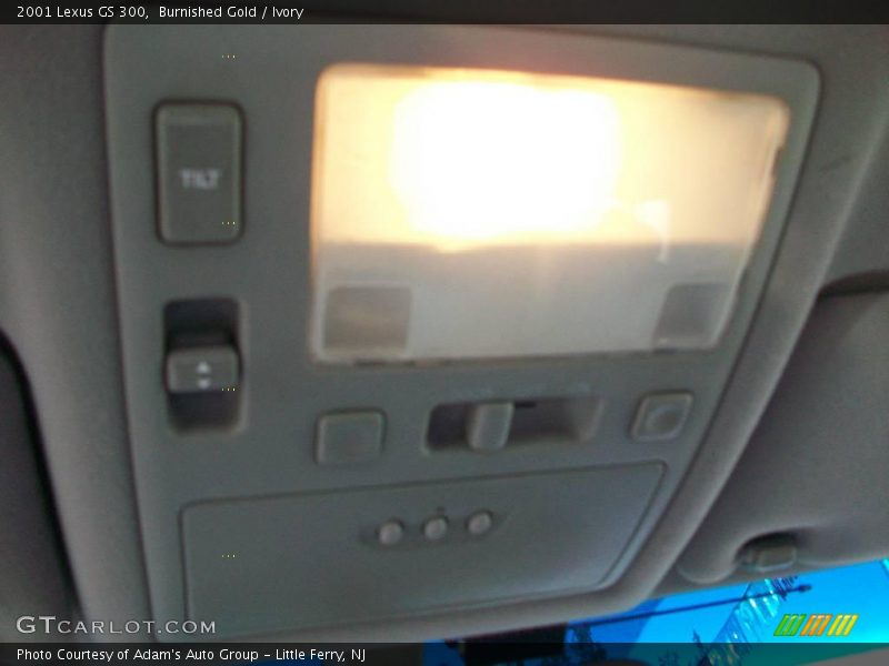 Burnished Gold / Ivory 2001 Lexus GS 300