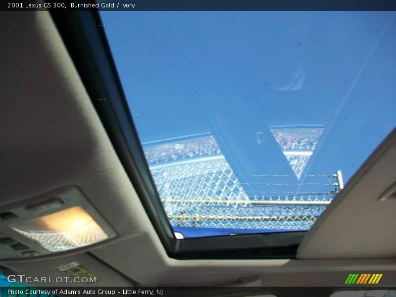 Burnished Gold / Ivory 2001 Lexus GS 300