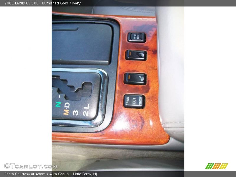 Burnished Gold / Ivory 2001 Lexus GS 300