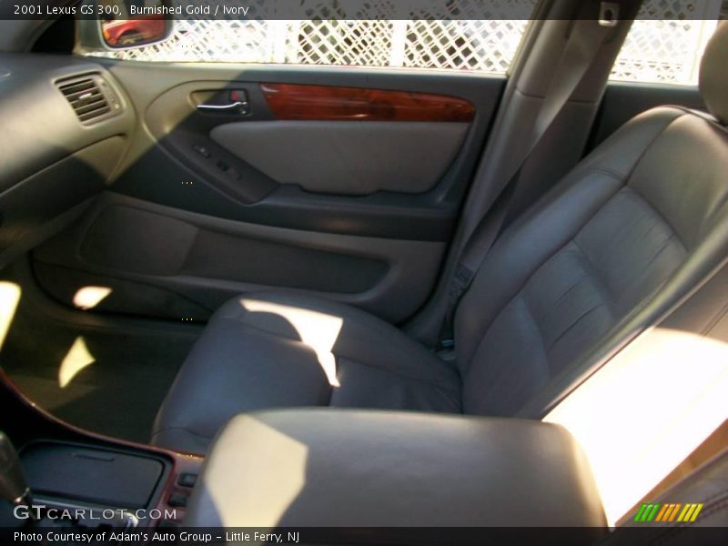 Burnished Gold / Ivory 2001 Lexus GS 300
