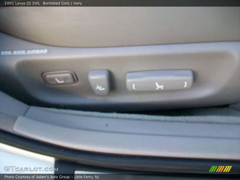 Burnished Gold / Ivory 2001 Lexus GS 300