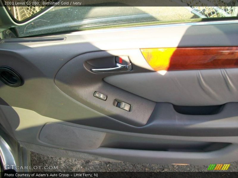 Burnished Gold / Ivory 2001 Lexus GS 300