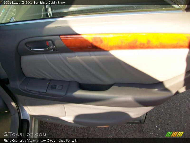 Burnished Gold / Ivory 2001 Lexus GS 300