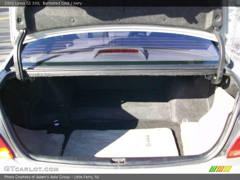 Burnished Gold / Ivory 2001 Lexus GS 300