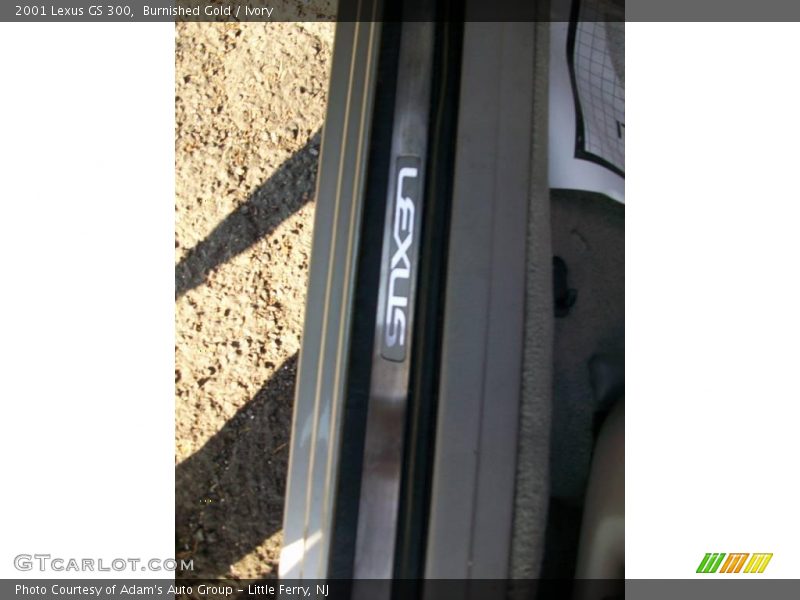 Burnished Gold / Ivory 2001 Lexus GS 300