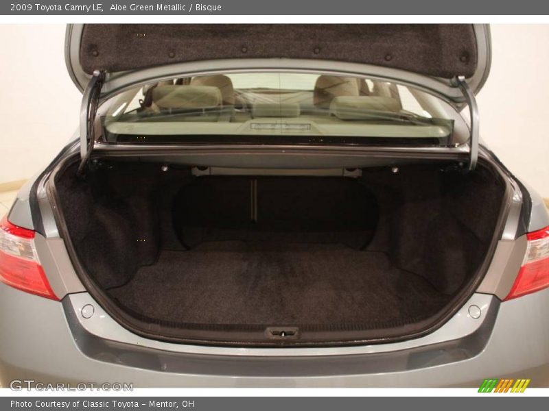 Aloe Green Metallic / Bisque 2009 Toyota Camry LE