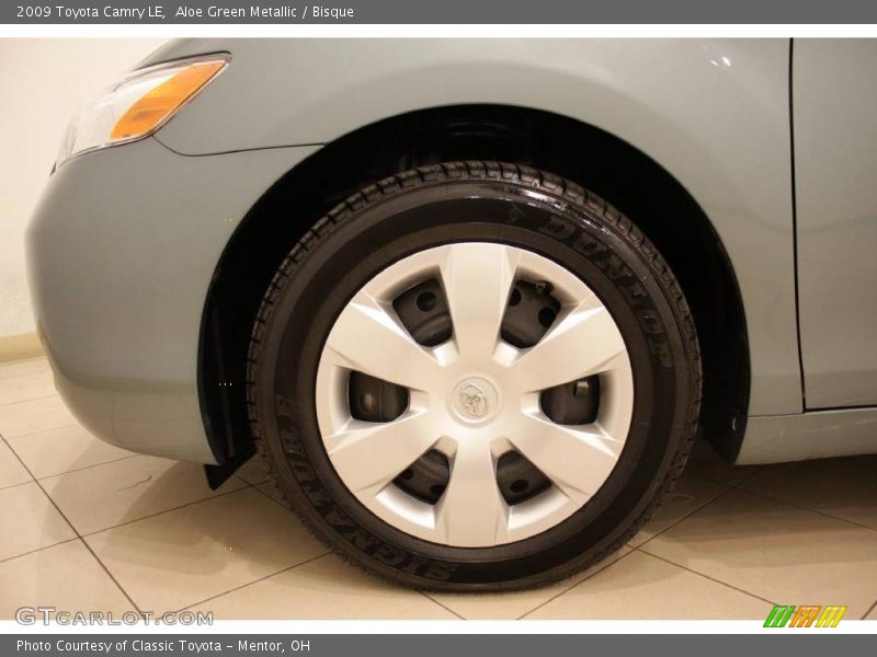 Aloe Green Metallic / Bisque 2009 Toyota Camry LE