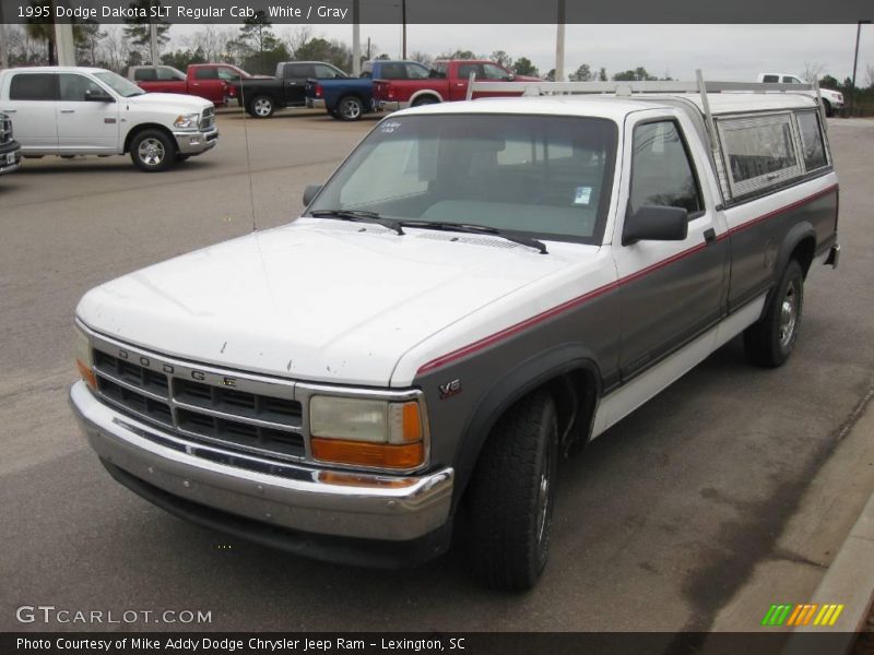 White / Gray 1995 Dodge Dakota SLT Regular Cab
