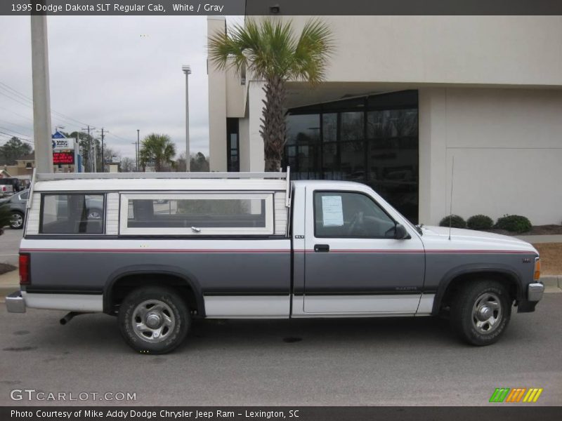 White / Gray 1995 Dodge Dakota SLT Regular Cab