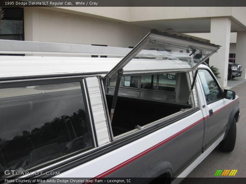 White / Gray 1995 Dodge Dakota SLT Regular Cab