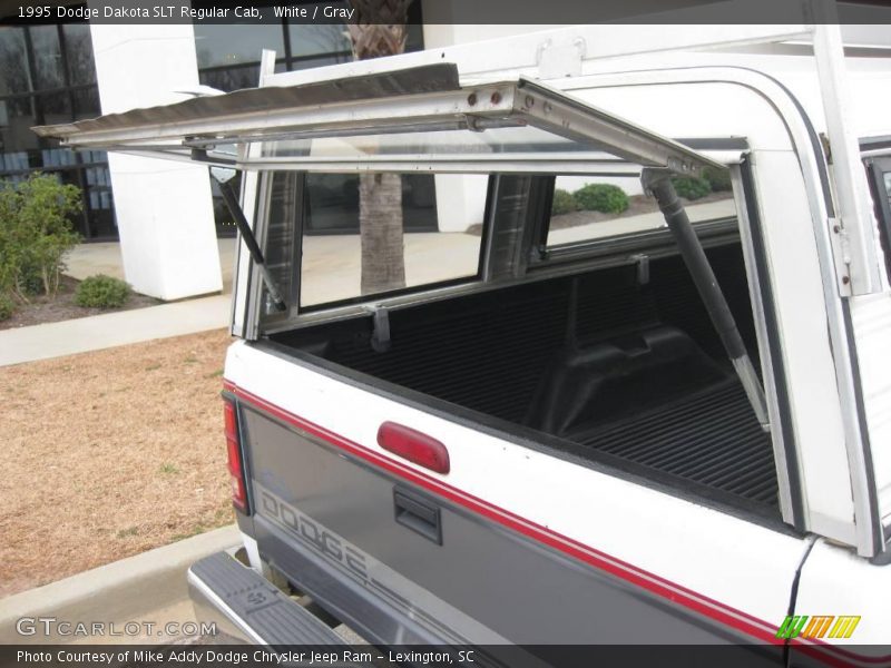 White / Gray 1995 Dodge Dakota SLT Regular Cab