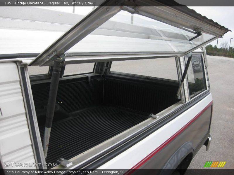 White / Gray 1995 Dodge Dakota SLT Regular Cab