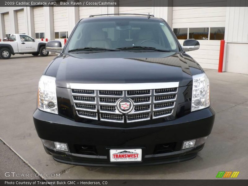 Black Raven / Cocoa/Cashmere 2009 Cadillac Escalade AWD