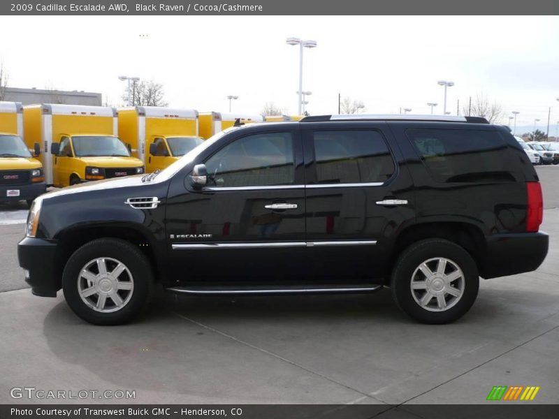Black Raven / Cocoa/Cashmere 2009 Cadillac Escalade AWD