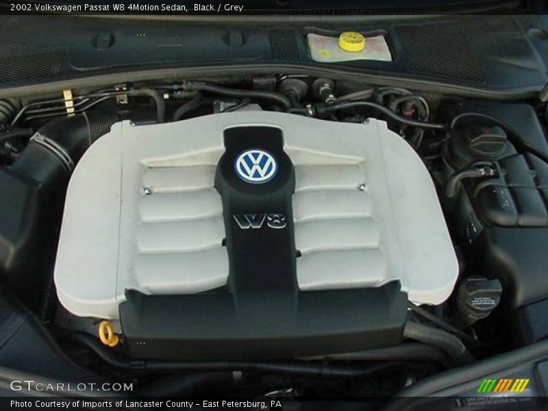 Black / Grey 2002 Volkswagen Passat W8 4Motion Sedan