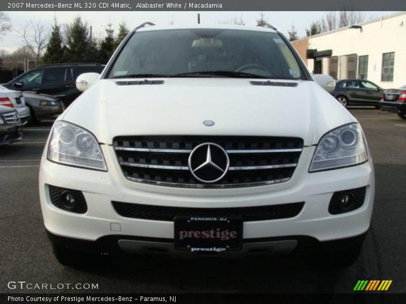 Alabaster White / Macadamia 2007 Mercedes-Benz ML 320 CDI 4Matic