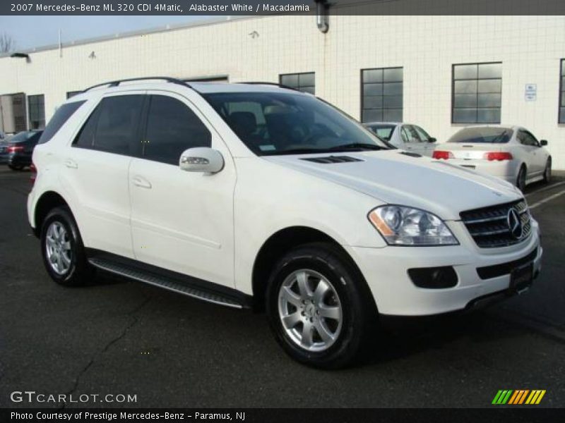 Alabaster White / Macadamia 2007 Mercedes-Benz ML 320 CDI 4Matic