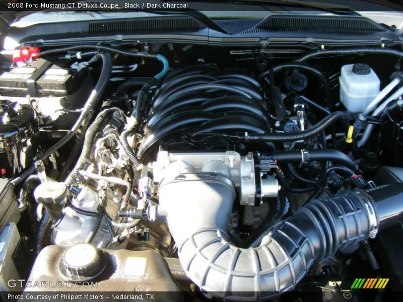 Black / Dark Charcoal 2008 Ford Mustang GT Deluxe Coupe