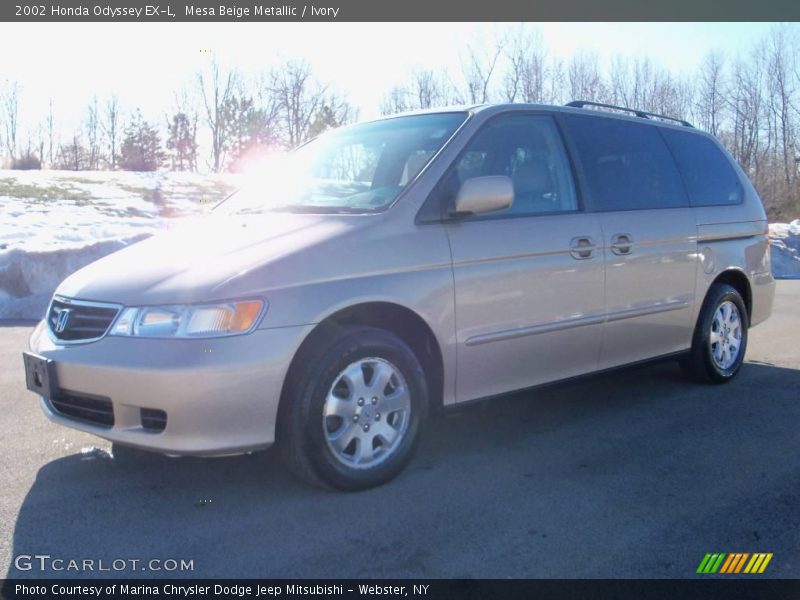 Mesa Beige Metallic / Ivory 2002 Honda Odyssey EX-L