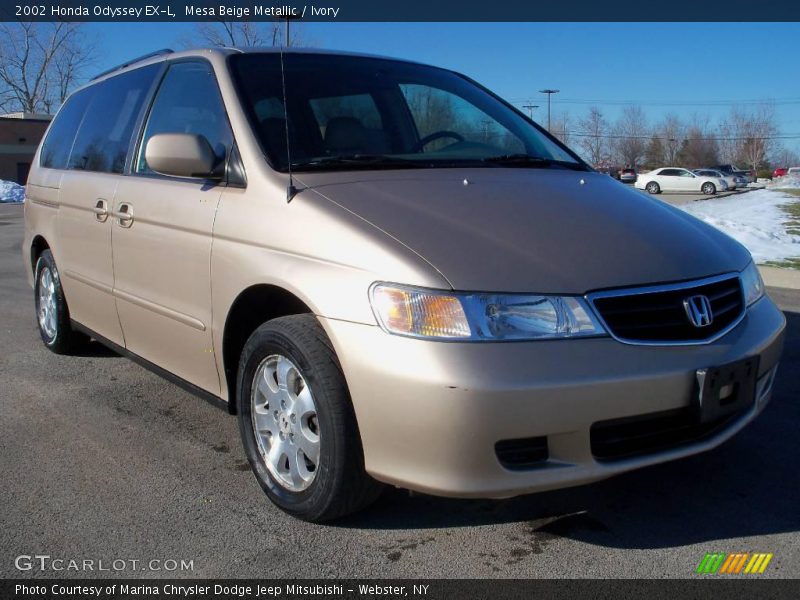 Mesa Beige Metallic / Ivory 2002 Honda Odyssey EX-L