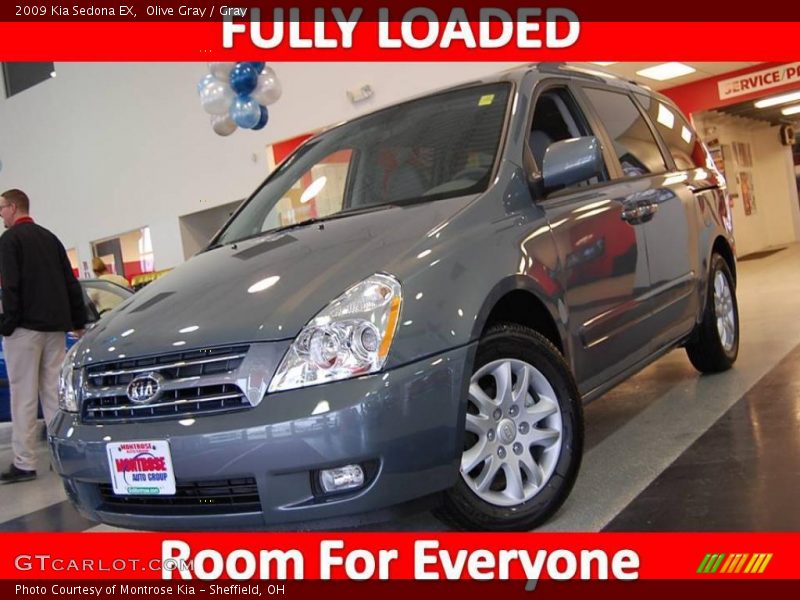 Olive Gray / Gray 2009 Kia Sedona EX