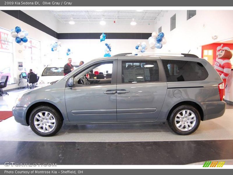 Olive Gray / Gray 2009 Kia Sedona EX