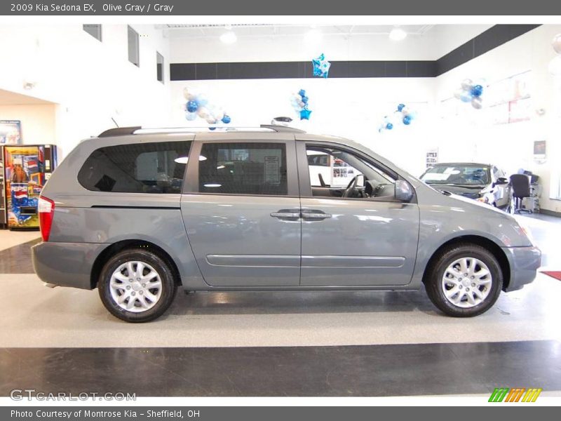 Olive Gray / Gray 2009 Kia Sedona EX
