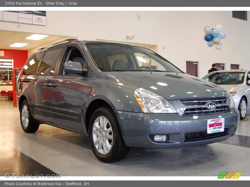 Olive Gray / Gray 2009 Kia Sedona EX