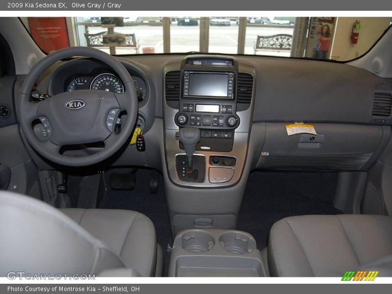 Olive Gray / Gray 2009 Kia Sedona EX