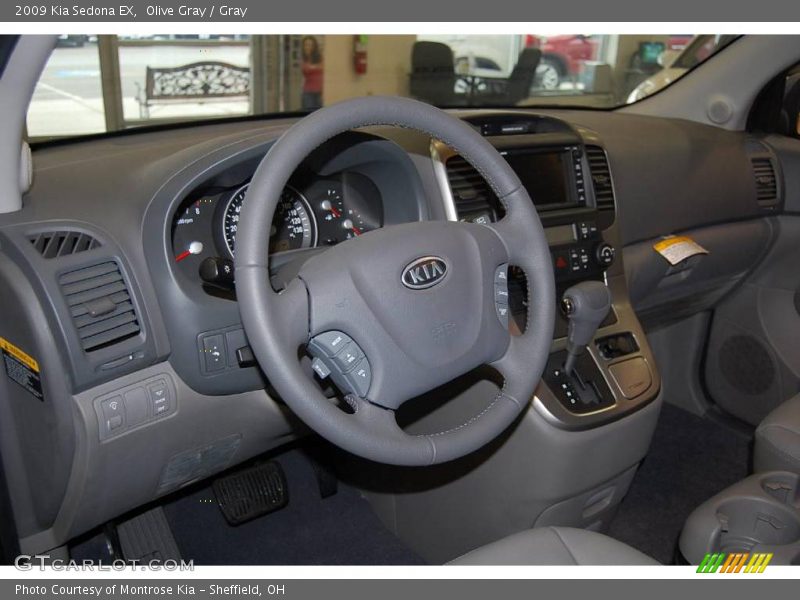 Olive Gray / Gray 2009 Kia Sedona EX
