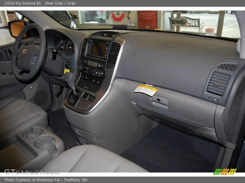 Olive Gray / Gray 2009 Kia Sedona EX