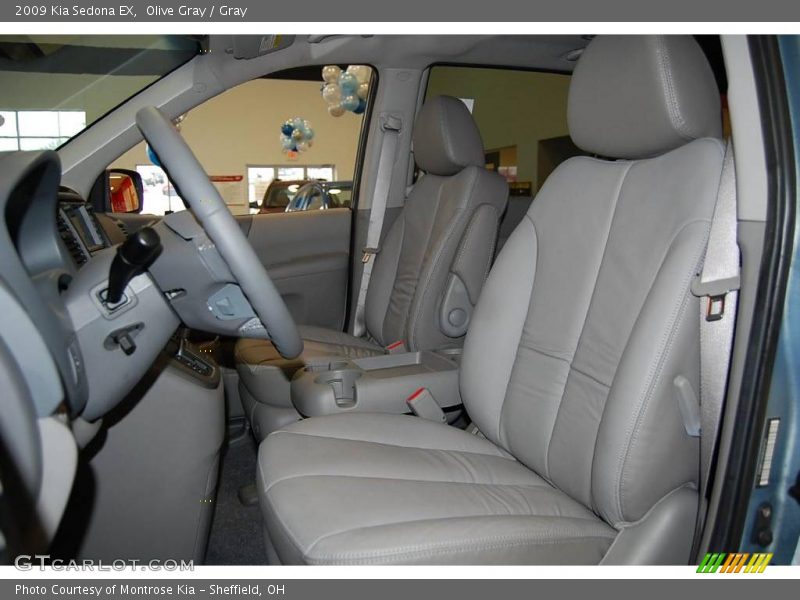 Olive Gray / Gray 2009 Kia Sedona EX