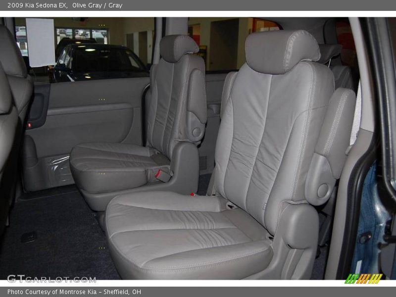 Olive Gray / Gray 2009 Kia Sedona EX
