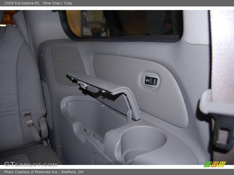 Olive Gray / Gray 2009 Kia Sedona EX