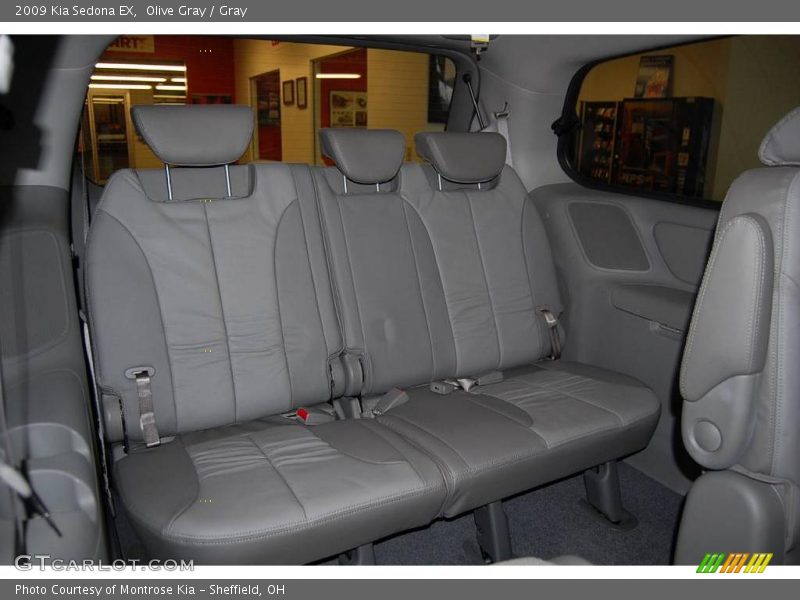 Olive Gray / Gray 2009 Kia Sedona EX