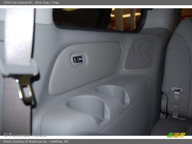 Olive Gray / Gray 2009 Kia Sedona EX