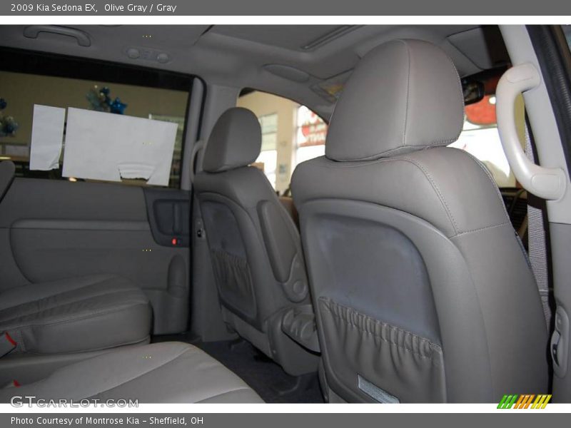 Olive Gray / Gray 2009 Kia Sedona EX