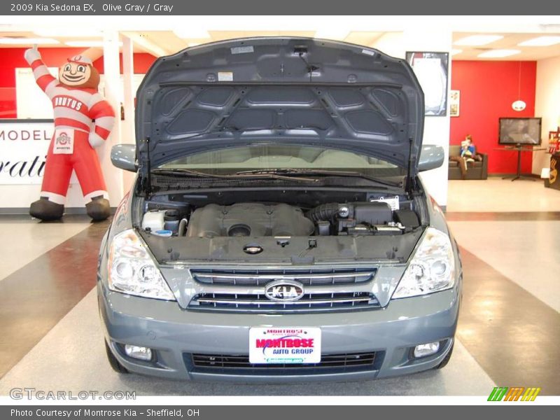 Olive Gray / Gray 2009 Kia Sedona EX