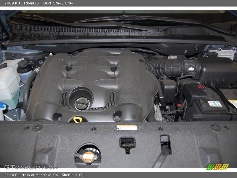 Olive Gray / Gray 2009 Kia Sedona EX