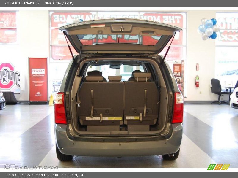 Olive Gray / Gray 2009 Kia Sedona EX