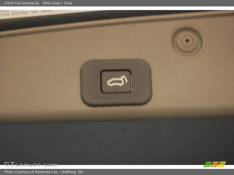Olive Gray / Gray 2009 Kia Sedona EX