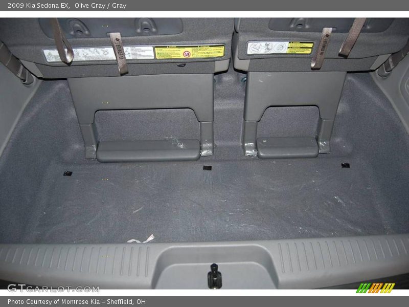 Olive Gray / Gray 2009 Kia Sedona EX
