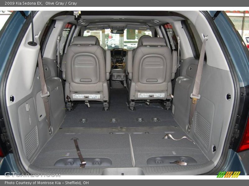 Olive Gray / Gray 2009 Kia Sedona EX