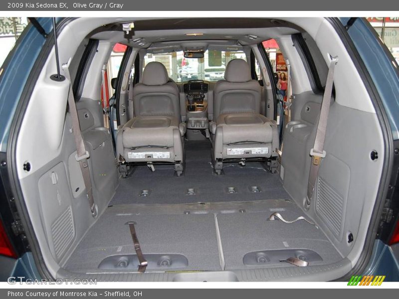 Olive Gray / Gray 2009 Kia Sedona EX