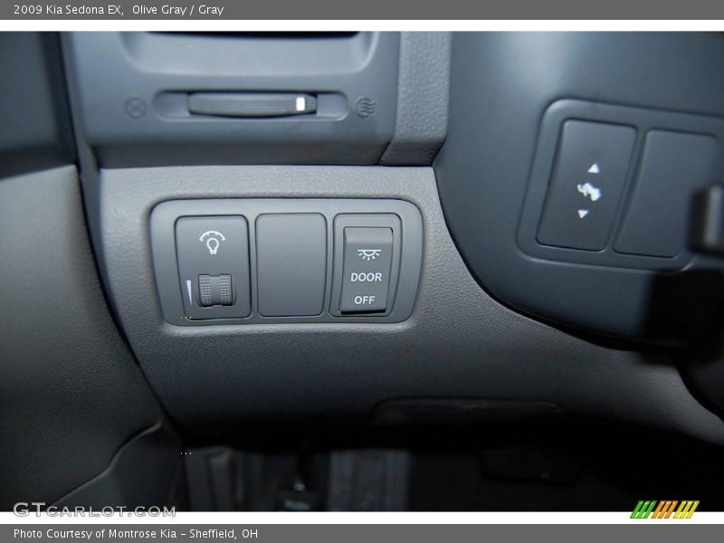 Olive Gray / Gray 2009 Kia Sedona EX