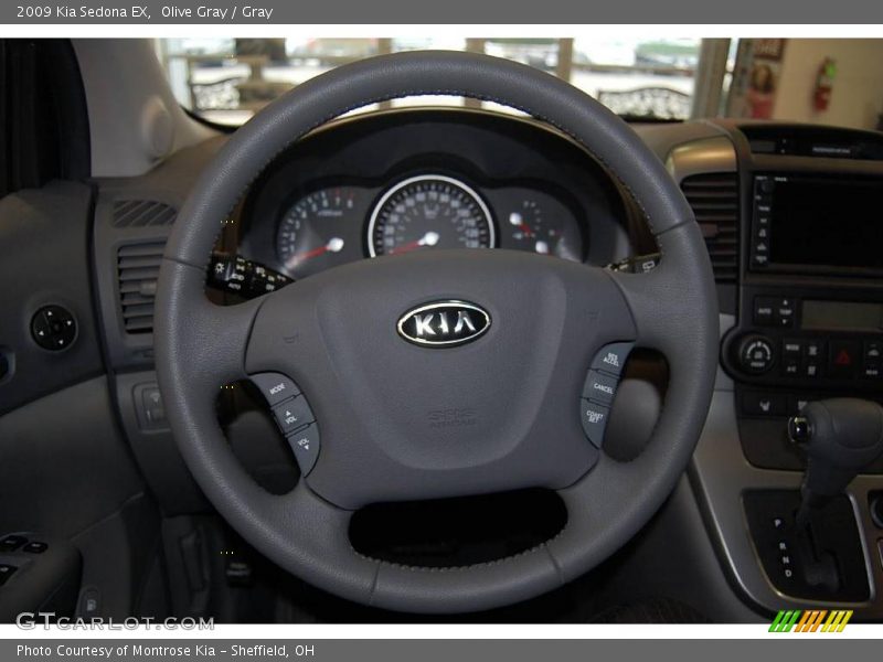 Olive Gray / Gray 2009 Kia Sedona EX
