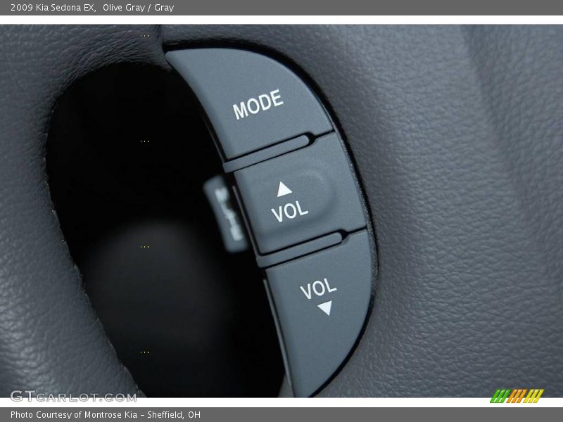 Olive Gray / Gray 2009 Kia Sedona EX